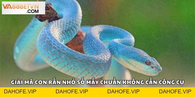Con Rắn Nhỏ Số Mấy? Giải Mã Điềm Báo Bộ Số May Mắn Tại VA88