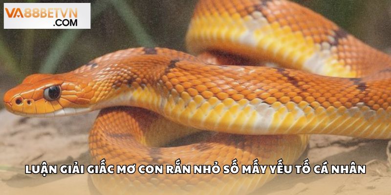 Con Rắn Nhỏ Số Mấy? Giải Mã Điềm Báo Bộ Số May Mắn Tại VA88