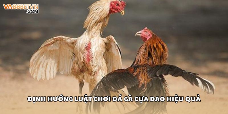 Đá Gà Cựa Dao Và Sức Hút Cuồng Nhiệt Trên Đấu Trường Máu Lửa