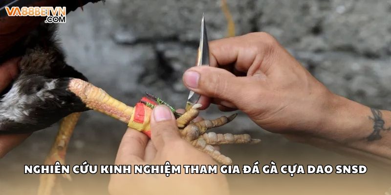 Đá Gà Cựa Dao Và Sức Hút Cuồng Nhiệt Trên Đấu Trường Máu Lửa