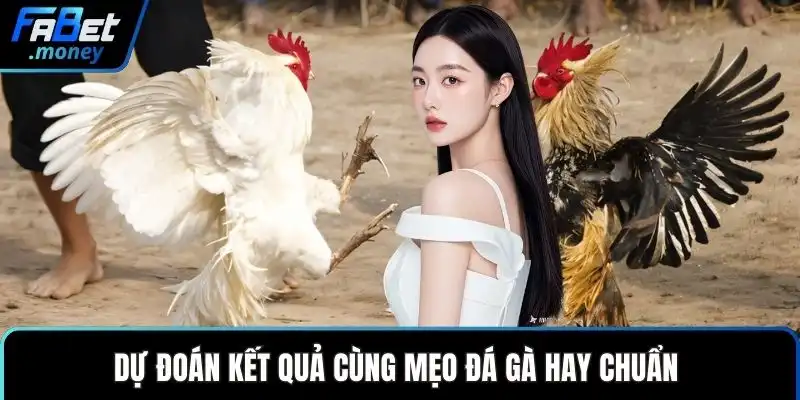 Mẹo Đá Gà Hay Và Những Chiến Thuật Đầu Tư Thông Minh