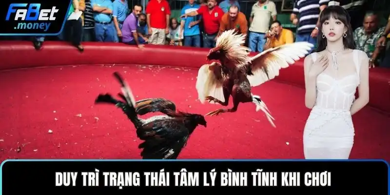 Mẹo Đá Gà Hay Và Những Chiến Thuật Đầu Tư Thông Minh