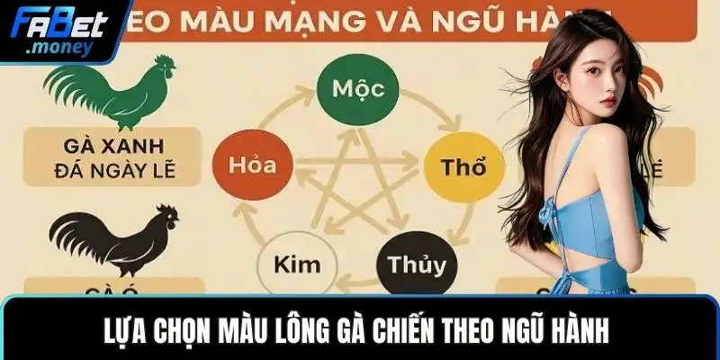 Mẹo Đá Gà Hay Và Những Chiến Thuật Đầu Tư Thông Minh