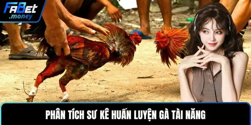 Trường Gà Thomo Fabet Sảnh Cược Đá Gà Đỉnh Cao Thế Giới