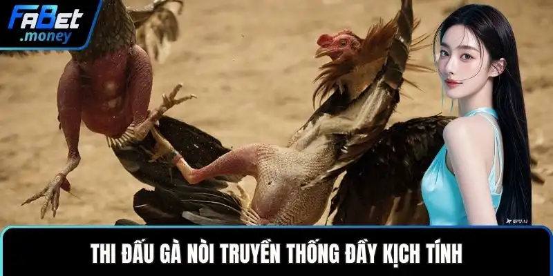 Trường Gà Thomo Fabet Sảnh Cược Đá Gà Đỉnh Cao Thế Giới
